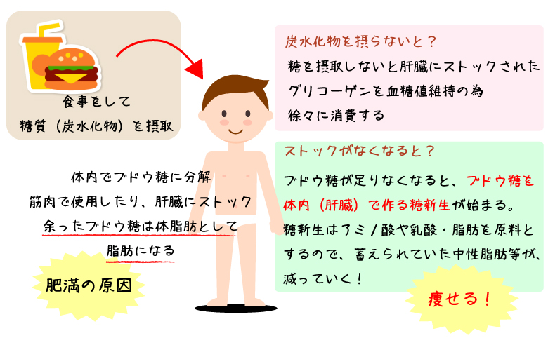  3. 特定のがんのリスクを軽減する可能性がある